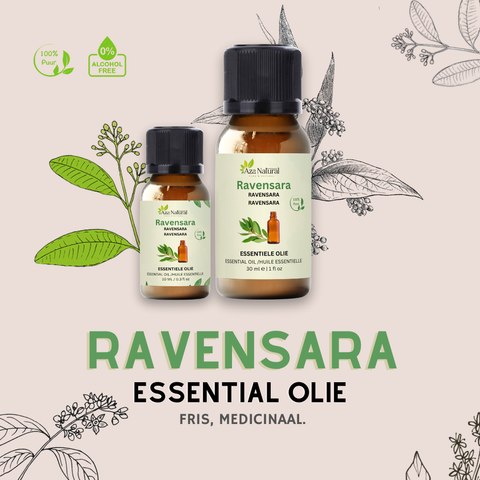 Ravensara Essentiële Olie